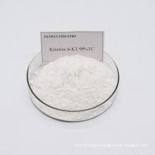 Natural Plant Growth Regulator Cytokinin Kinetin 6kt hormone